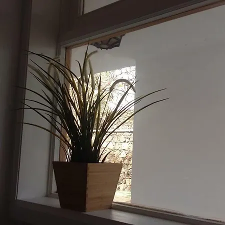 Apartamento Loma *